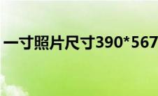一寸照片尺寸390*567(390 567是几寸照片)