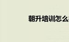 朝升培训怎么样(朝升培训)