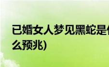 已婚女人梦见黑蛇是什么预兆(梦见黑蛇是什么预兆)