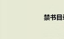 禁书目录图书