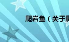 爬岩鱼（关于爬岩鱼的介绍）