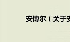 安博尔（关于安博尔的介绍）