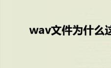 wav文件为什么这么大(wav文件)