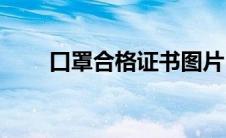口罩合格证书图片(口罩合格证样本)