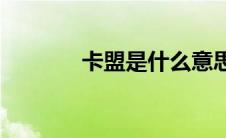 卡盟是什么意思(卡盟是什么)