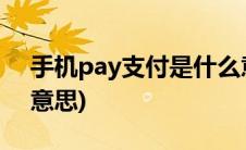 手机pay支付是什么意思(手机pay支付什么意思)