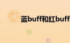 蓝buff和红buff的作用(蓝buff)