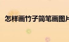 怎样画竹子简笔画图片(怎么画简笔画竹子)