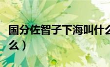 国分佐智子下海叫什么（国分佐智子下海是什么）