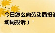 今日怎么向劳动局投诉自己的公司（怎么向劳动局投诉）