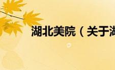 湖北美院（关于湖北美院的介绍）
