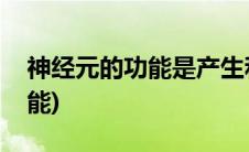 神经元的功能是产生和传导什么(神经元的功能)