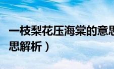 一枝梨花压海棠的意思（一枝梨花压海棠的意思解析）