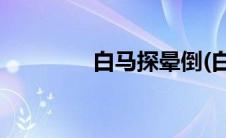 白马探晕倒(白马探喜欢谁)