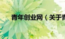 青年创业网（关于青年创业网的介绍）