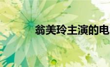 翁美玲主演的电视剧（翁美玲）