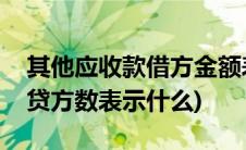 其他应收款借方金额表示(其他应收款借方与贷方数表示什么)