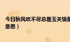 今日秋风吹不尽总是玉关情是什么意思（总是玉关情是什么意思）
