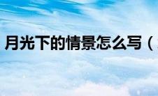 月光下的情景怎么写（怎么写月光下的情景）