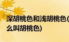 深胡桃色和浅胡桃色(胡桃色是什么意思 为什么叫胡桃色)
