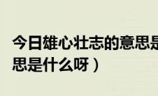 今日雄心壮志的意思是什么呀（雄心壮志的意思是什么呀）