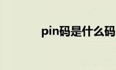 pin码是什么码(pin码是什么)