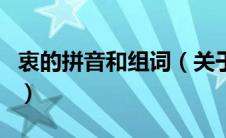 衷的拼音和组词（关于衷的拼音和组词的介绍）
