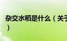 杂交水稻是什么（关于杂交水稻是什么的介绍）
