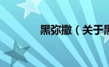 黑弥撒（关于黑弥撒的介绍）
