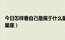 今日怎样看自己是属于什么星座的（怎样看自己是属于什么星座）