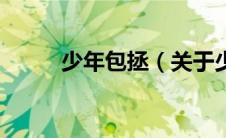 少年包拯（关于少年包拯的介绍）