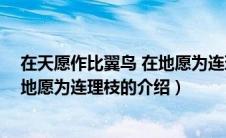 在天愿作比翼鸟 在地愿为连理枝（关于在天愿作比翼鸟 在地愿为连理枝的介绍）