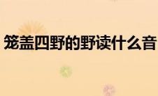 笼盖四野的野读什么音(笼盖四野的野的读音)