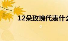 12朵玫瑰代表什么（有知道的吗）