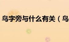 鸟字旁与什么有关（鸟字旁的字跟什么有关）