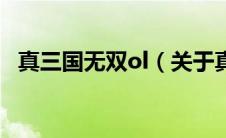 真三国无双ol（关于真三国无双ol的介绍）