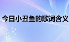 今日小丑鱼的歌词含义（《小丑鱼》的歌词）