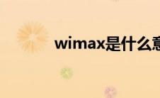 wimax是什么意思（wimax）