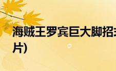海贼王罗宾巨大脚招式视频(海贼王罗宾黄短片)
