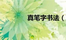 真笔字书法（真笔字大全）