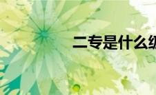二专是什么级别（二专）
