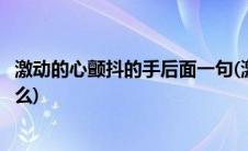 激动的心颤抖的手后面一句(激动的心颤抖的手后面一句是什么)