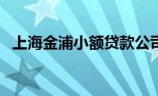 上海金浦小额贷款公司（小浦红贷是什么）