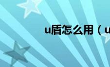 u盾怎么用（u盾用法简述）