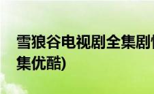 雪狼谷电视剧全集剧情介绍(雪狼谷电视剧全集优酷)