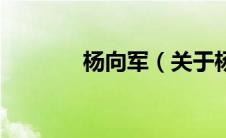 杨向军（关于杨向军的介绍）