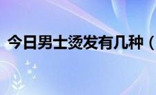 今日男士烫发有几种（男士烫发的5种类型）