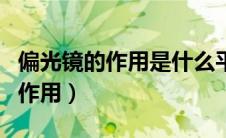 偏光镜的作用是什么平时能不能戴（偏光镜的作用）
