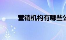 营销机构有哪些公司（营销机构）