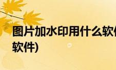 图片加水印用什么软件好(图片加水印用什么软件)